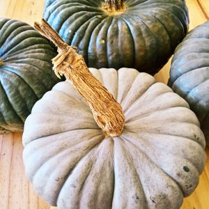 organic-heirloom-queensland-blue-pumpkin