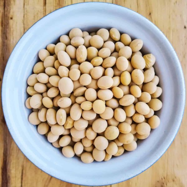 Soya Beans Non-GMO