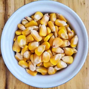 Yellow-Maize-Kernels-Seeds-Non-GMO