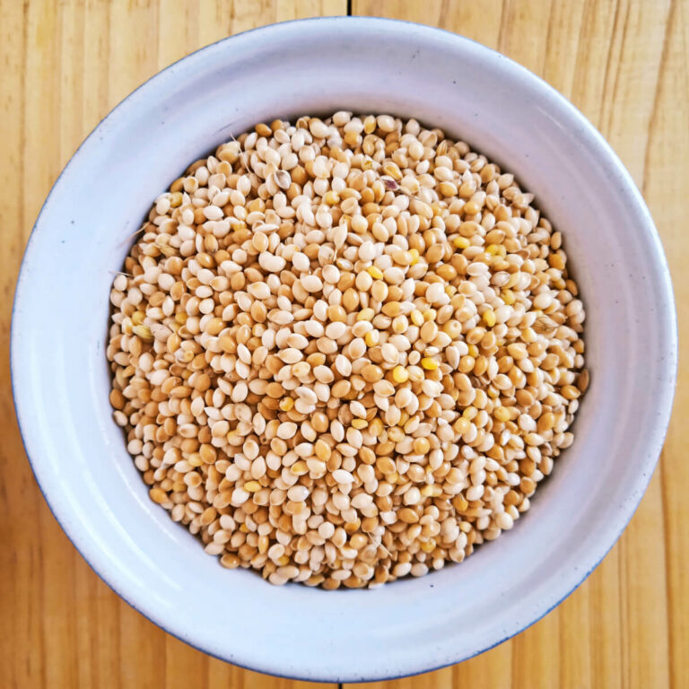 Whole Millet Grain/Seed Pure and Whole